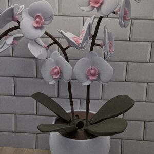 orchid diffuser
